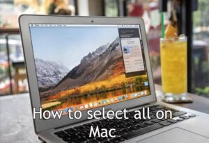select all files mac